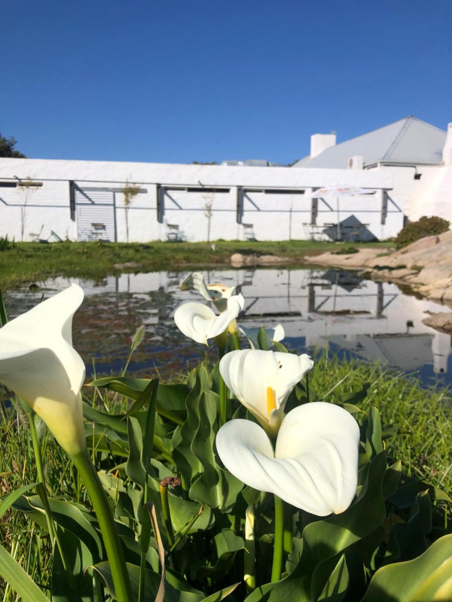 !Khwa ttu Bed & Breakfast Swartwater Luaran gambar