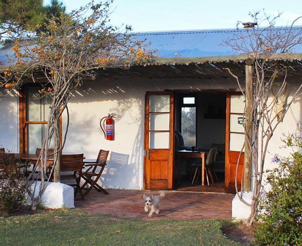 !Khwa ttu Bed & Breakfast Swartwater Luaran gambar