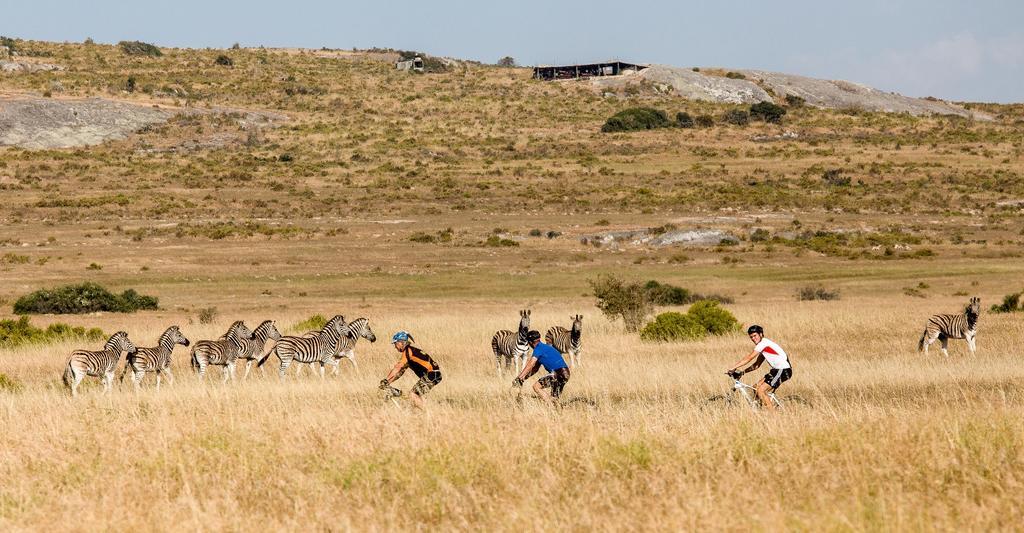 !Khwa ttu Bed & Breakfast Swartwater Luaran gambar
